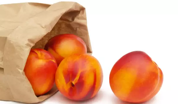 Nectarine