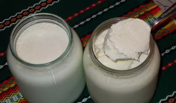 Iaurt de casă, din lapte de oaie