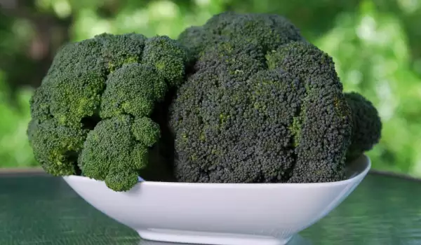 Broccoli este o legumă bogată în clorofilă