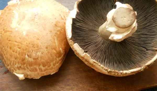 Ciuperci Portobello umplute