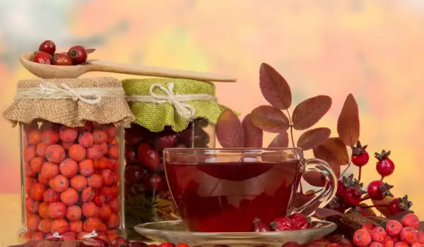 Măceșele benefice pentru detoxifierea ficatului