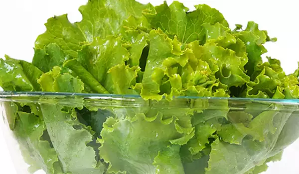 Salată verde în castron