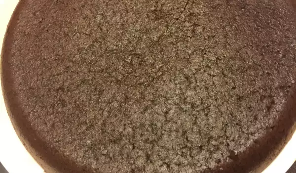 Blat de pandișpan de ciocolată