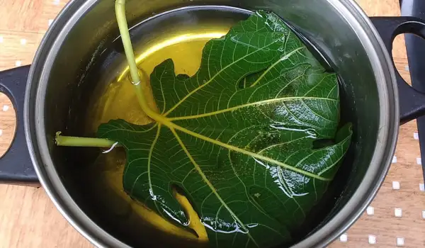 Sirop de frunze de smochin