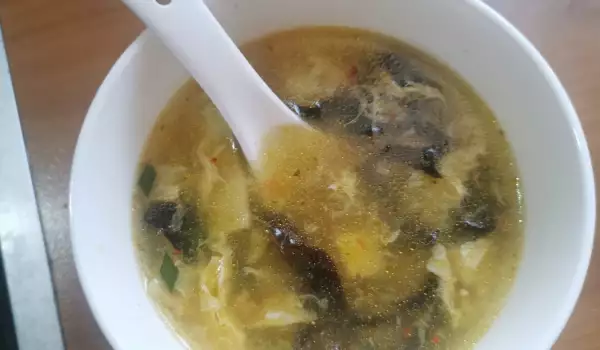 Supă chinezească iute și acrișoară