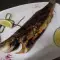 Biban de mare la grătar