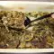 Friptură de porc cu ciuperci și brânză topită
