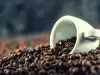 Cafea Robusta - ce trebuie să știm despre ea