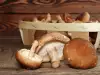 Proprietățile benefice ale ciupercilor shiitake