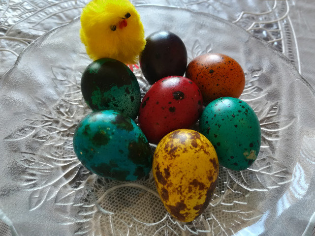 Ouă de prepeliță colorate