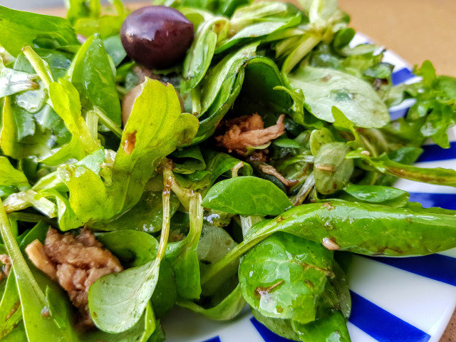 Salată de ton cu salată de câmp, rucola și spanac