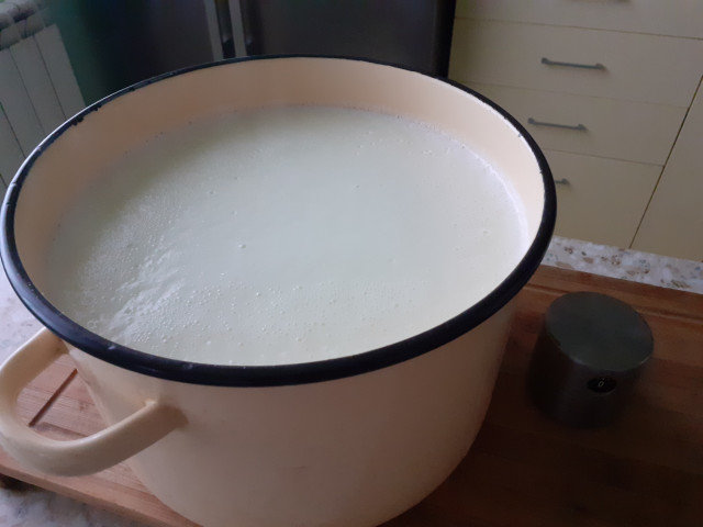 Iaurt de casă din lapte proaspăt