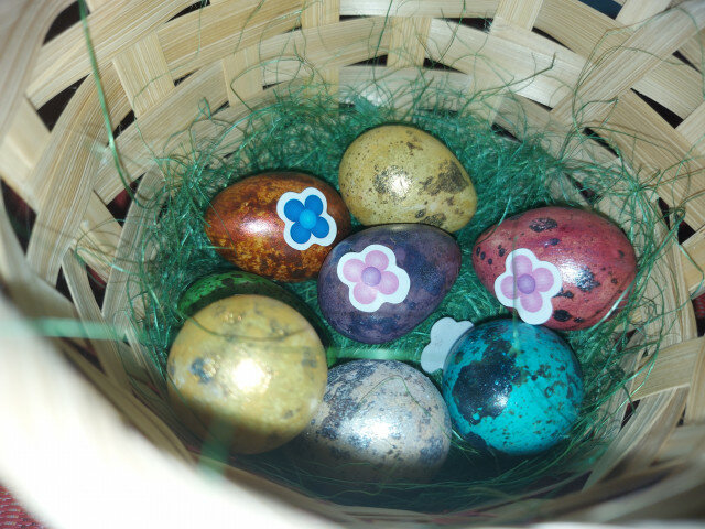 Ouă de prepeliță colorate